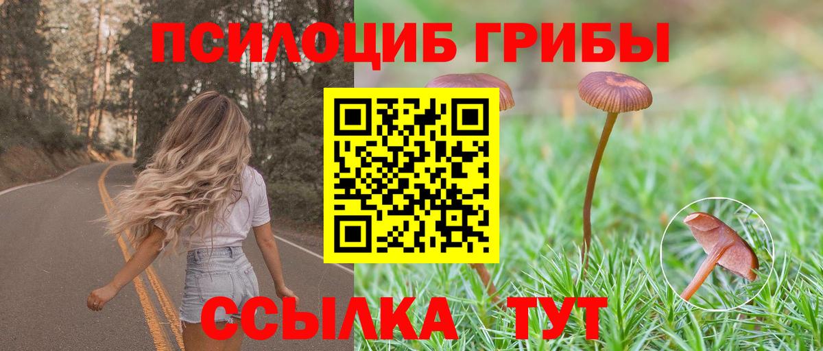 Псилоцибиновые грибы мухоморы Асбест