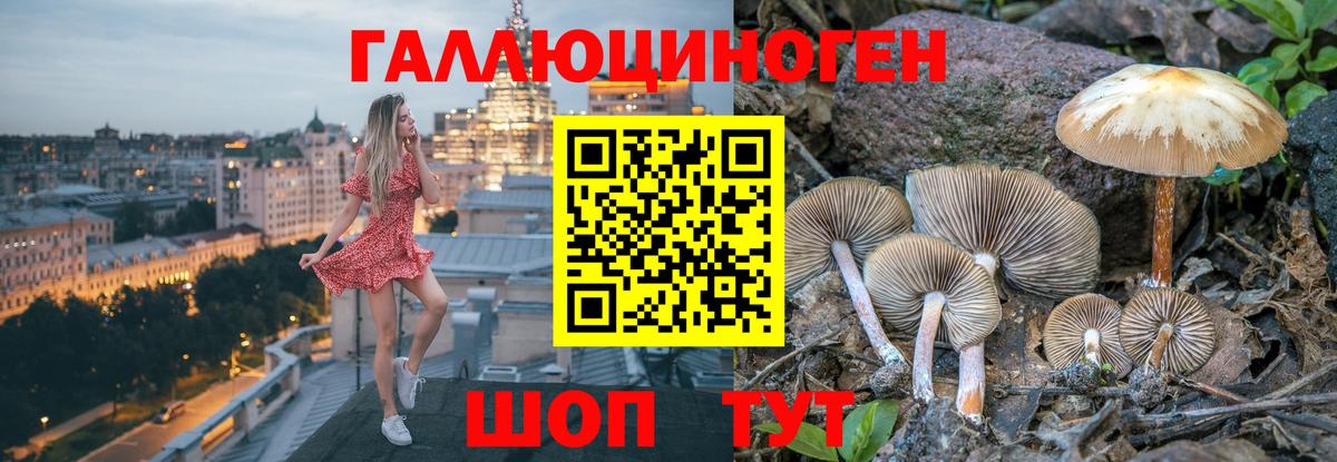 Галлюциногенные грибы Psilocybine cubensis  Вход с VPN  Асбест 
